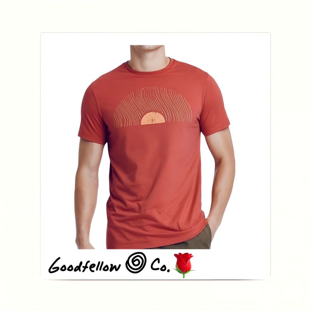 Goodfellow & Co. Men’s Graphic Tee Size Large